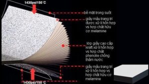 cau tao cua tam compact